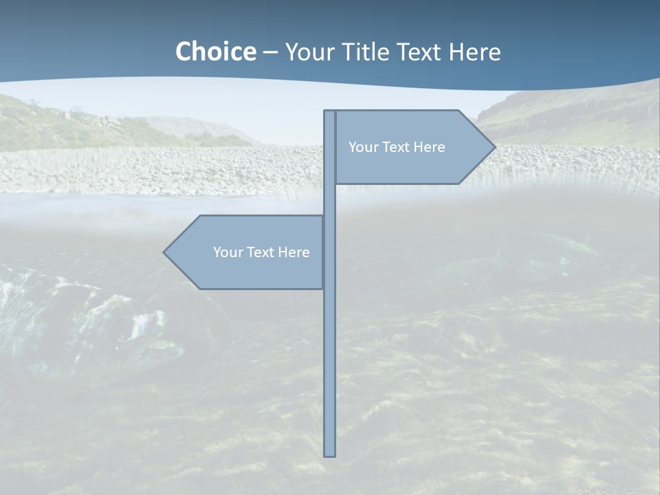 Unique Shot Of A Fishing River Underwater And Landscape Above PowerPoint Template