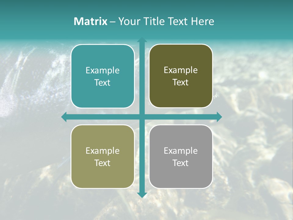 Unique Shot Of The Atlantic Salmon In Its Natural Habitat PowerPoint Template