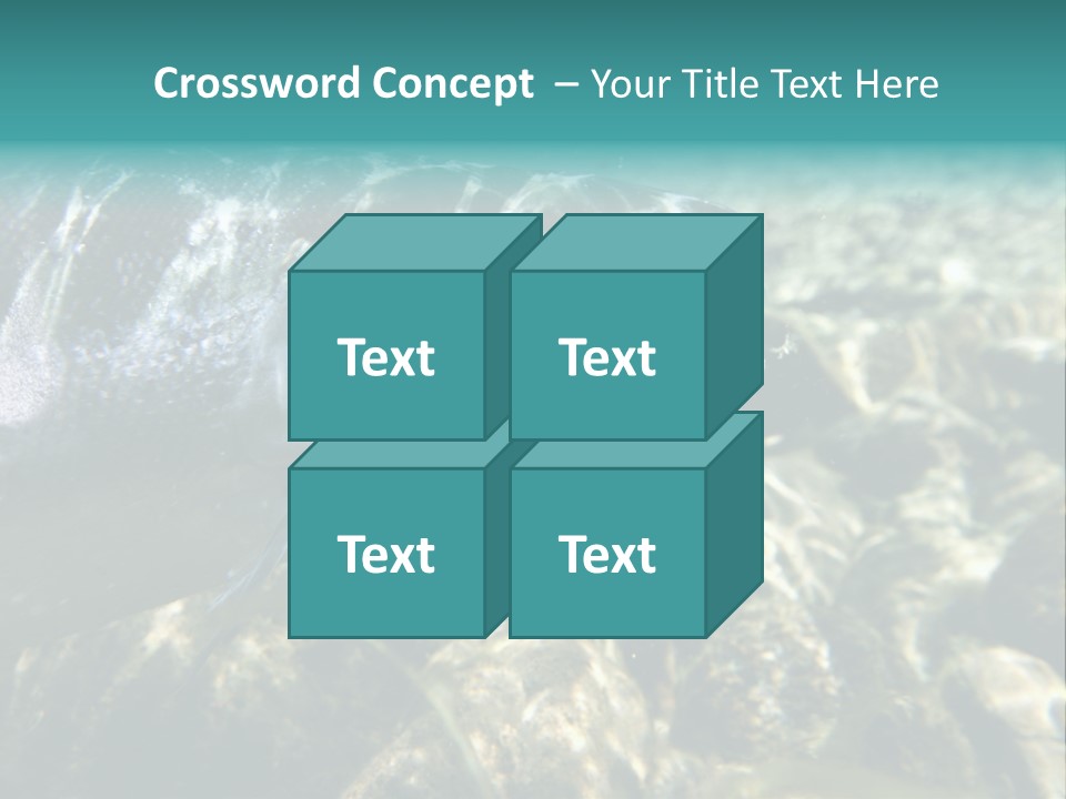 Unique Shot Of The Atlantic Salmon In Its Natural Habitat PowerPoint Template