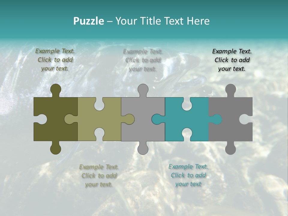 Unique Shot Of The Atlantic Salmon In Its Natural Habitat PowerPoint Template