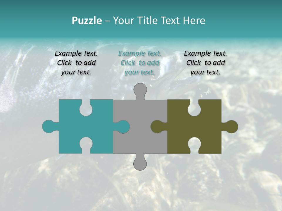 Unique Shot Of The Atlantic Salmon In Its Natural Habitat PowerPoint Template