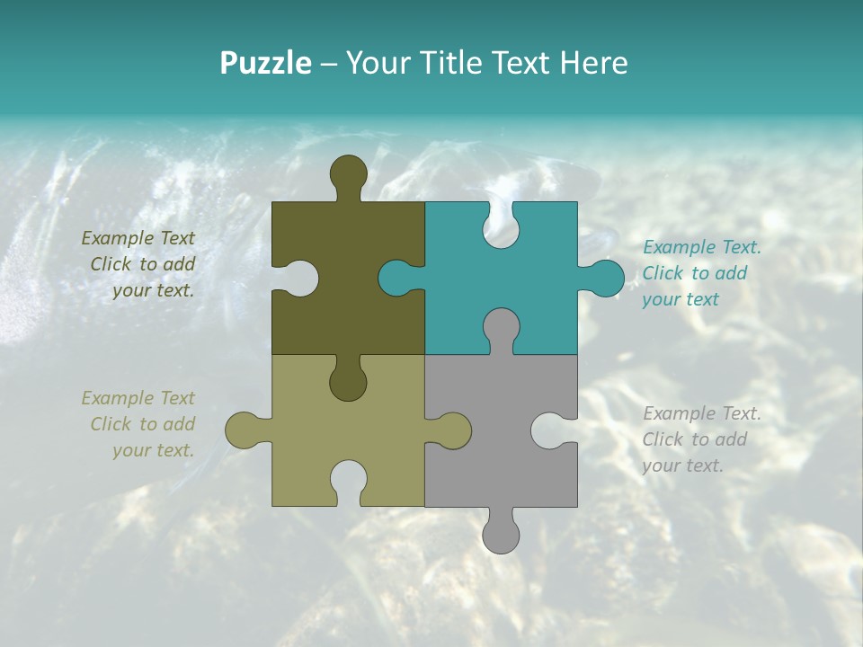 Unique Shot Of The Atlantic Salmon In Its Natural Habitat PowerPoint Template