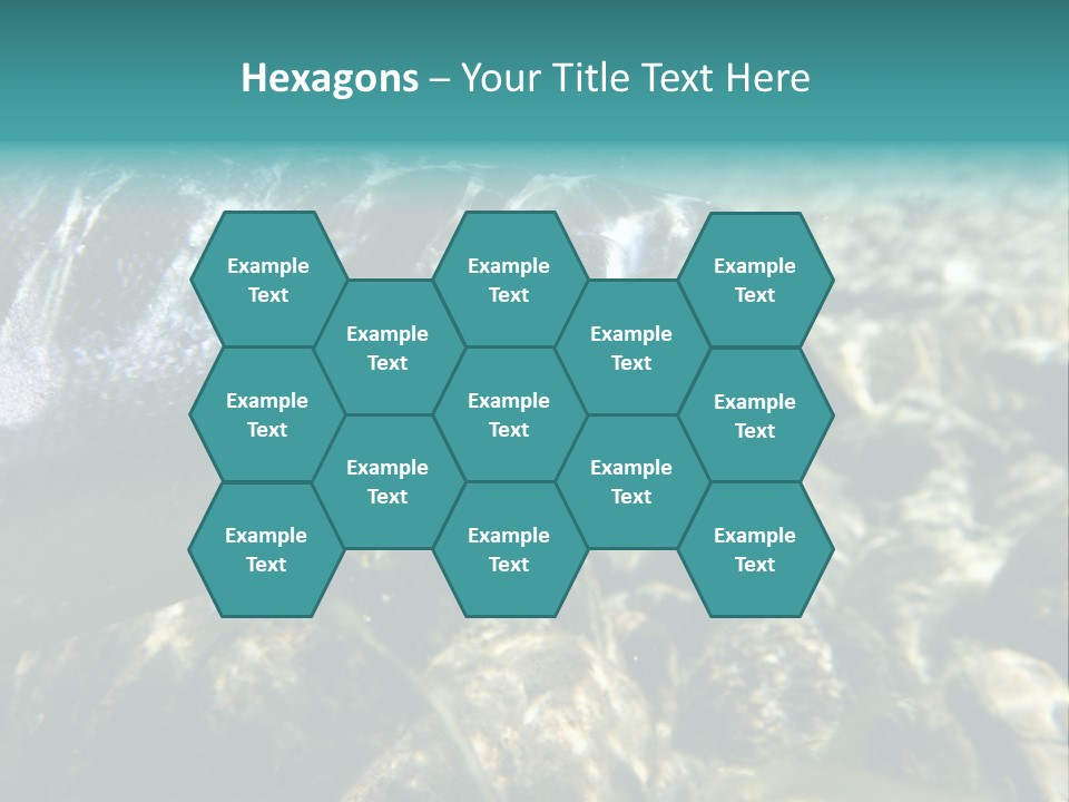 Unique Shot Of The Atlantic Salmon In Its Natural Habitat PowerPoint Template