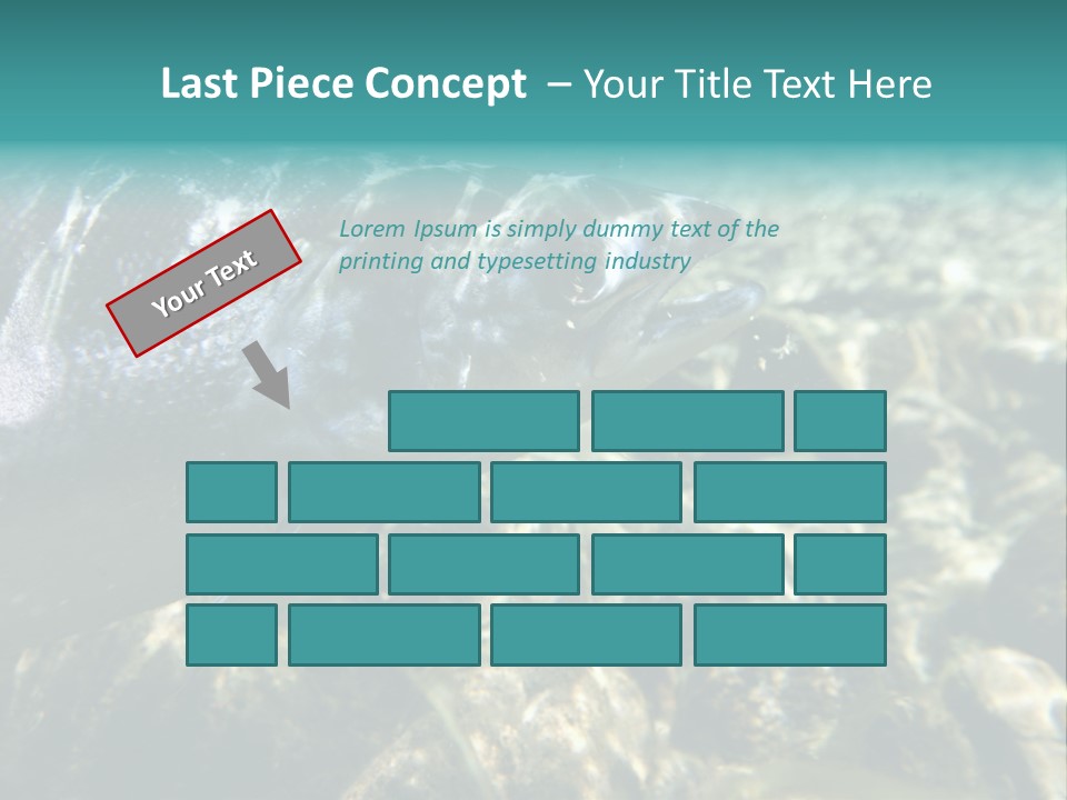 Unique Shot Of The Atlantic Salmon In Its Natural Habitat PowerPoint Template