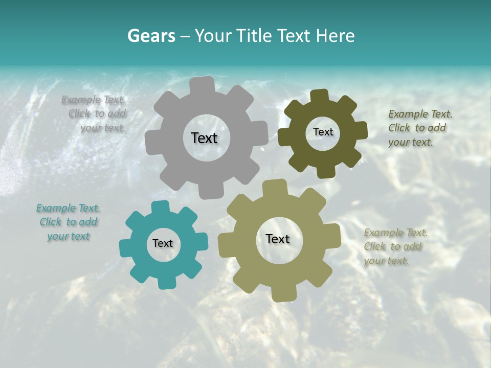 Unique Shot Of The Atlantic Salmon In Its Natural Habitat PowerPoint Template