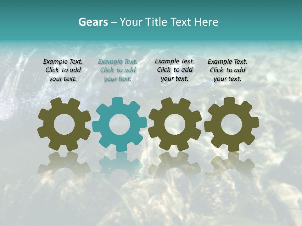 Unique Shot Of The Atlantic Salmon In Its Natural Habitat PowerPoint Template