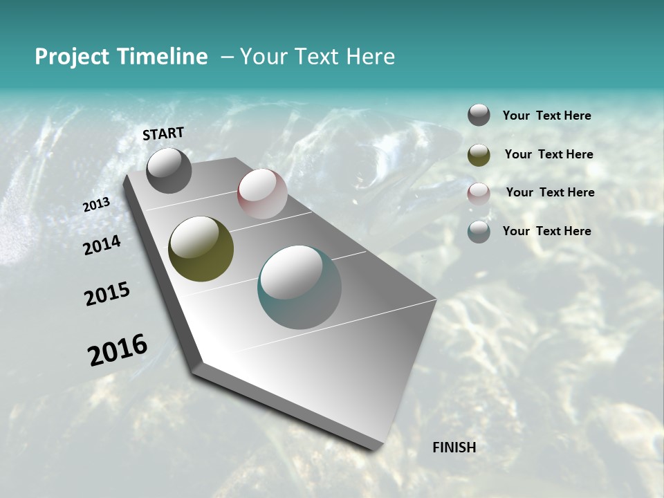 Unique Shot Of The Atlantic Salmon In Its Natural Habitat PowerPoint Template