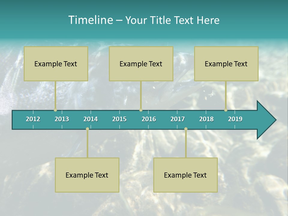 Unique Shot Of The Atlantic Salmon In Its Natural Habitat PowerPoint Template