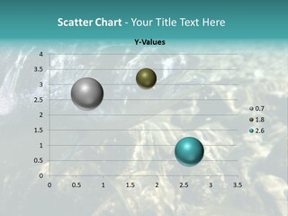 Unique Shot Of The Atlantic Salmon In Its Natural Habitat PowerPoint Template