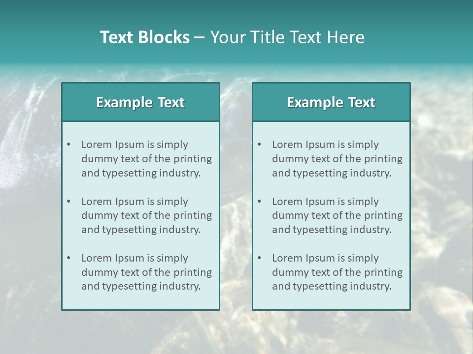 Unique Shot Of The Atlantic Salmon In Its Natural Habitat PowerPoint Template