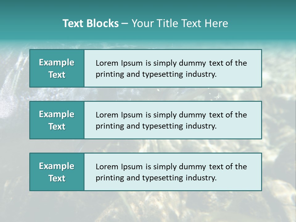 Unique Shot Of The Atlantic Salmon In Its Natural Habitat PowerPoint Template