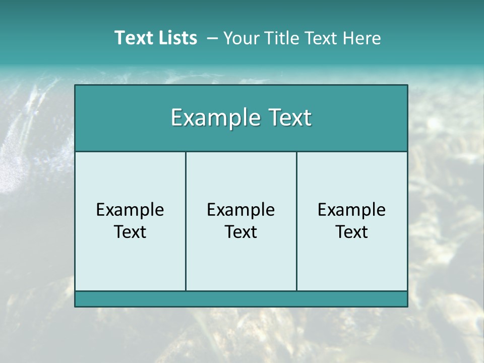 Unique Shot Of The Atlantic Salmon In Its Natural Habitat PowerPoint Template