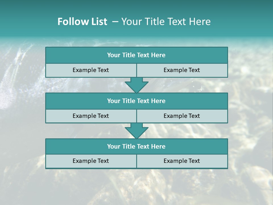 Unique Shot Of The Atlantic Salmon In Its Natural Habitat PowerPoint Template