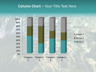 Unique Shot Of The Atlantic Salmon In Its Natural Habitat PowerPoint Template