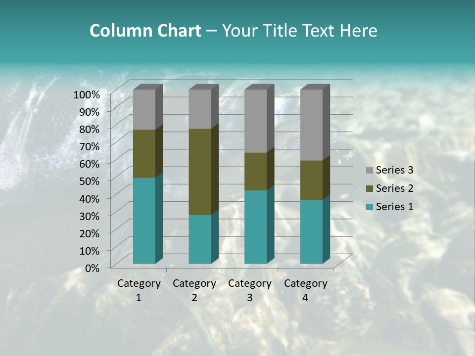 Unique Shot Of The Atlantic Salmon In Its Natural Habitat PowerPoint Template