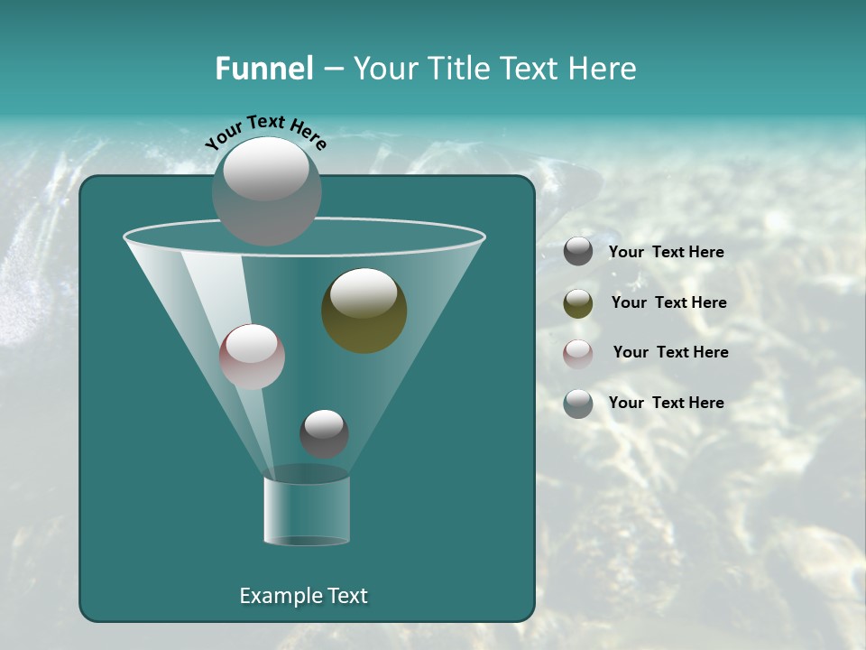 Unique Shot Of The Atlantic Salmon In Its Natural Habitat PowerPoint Template