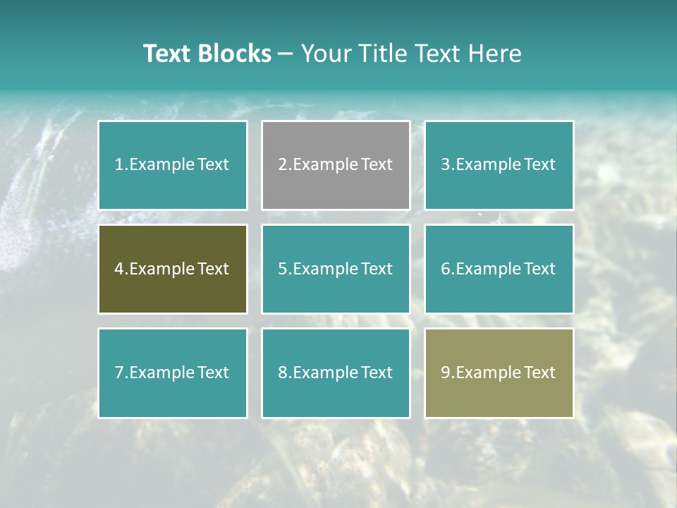 Unique Shot Of The Atlantic Salmon In Its Natural Habitat PowerPoint Template