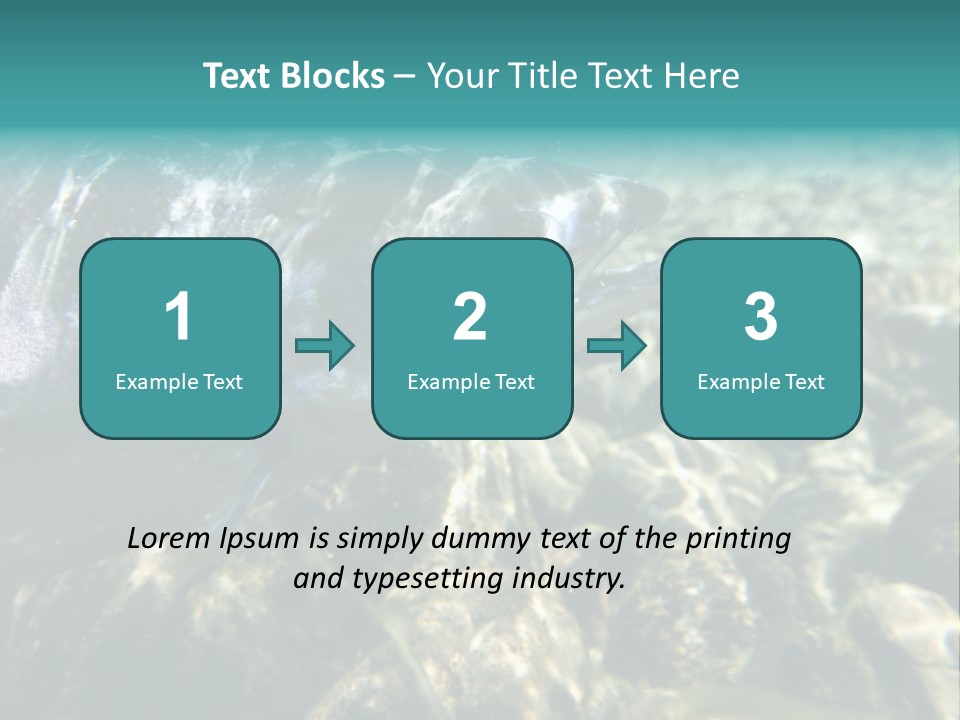Unique Shot Of The Atlantic Salmon In Its Natural Habitat PowerPoint Template
