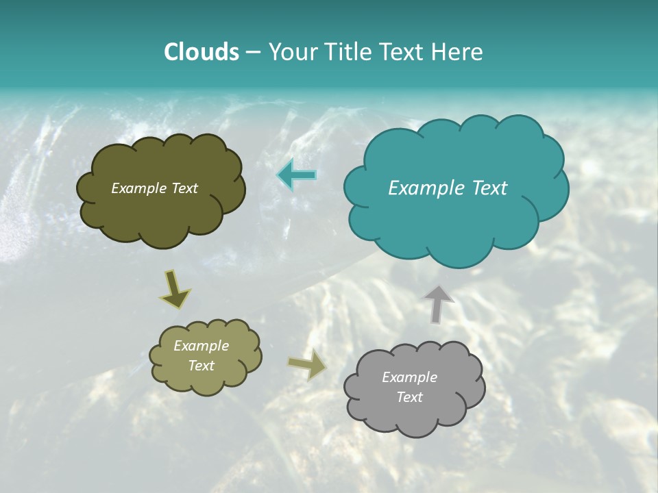 Unique Shot Of The Atlantic Salmon In Its Natural Habitat PowerPoint Template