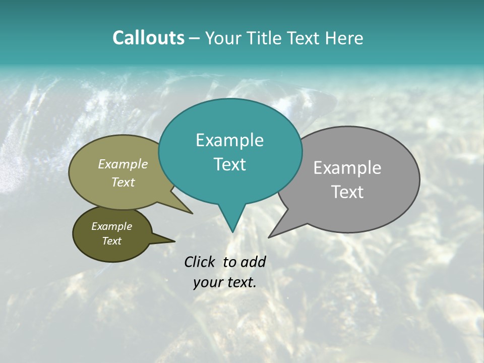 Unique Shot Of The Atlantic Salmon In Its Natural Habitat PowerPoint Template