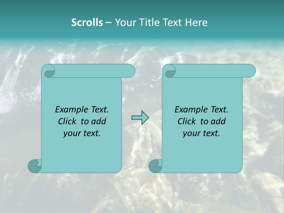 Unique Shot Of The Atlantic Salmon In Its Natural Habitat PowerPoint Template