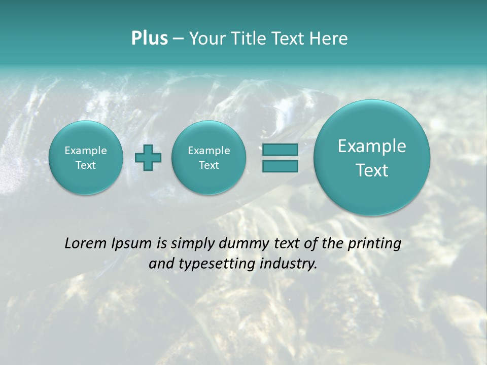 Unique Shot Of The Atlantic Salmon In Its Natural Habitat PowerPoint Template