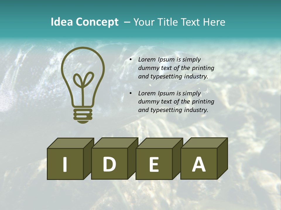 Unique Shot Of The Atlantic Salmon In Its Natural Habitat PowerPoint Template