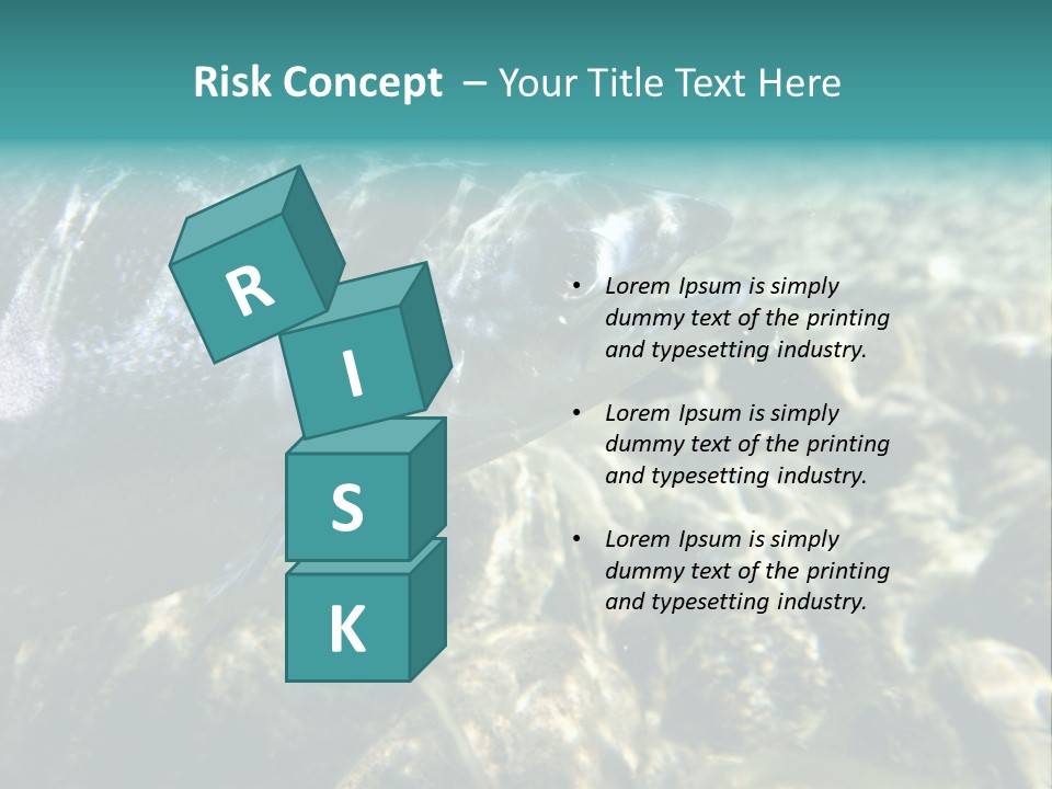 Unique Shot Of The Atlantic Salmon In Its Natural Habitat PowerPoint Template