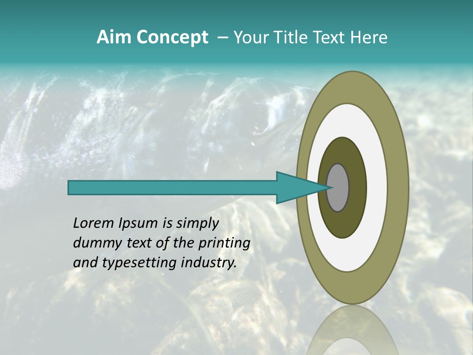 Unique Shot Of The Atlantic Salmon In Its Natural Habitat PowerPoint Template