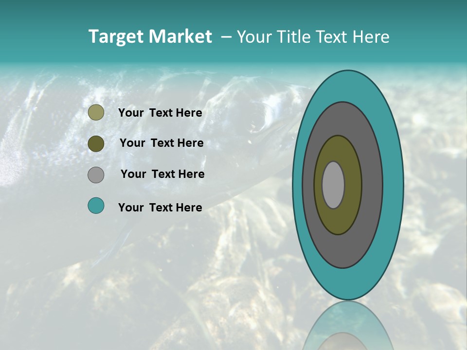 Unique Shot Of The Atlantic Salmon In Its Natural Habitat PowerPoint Template