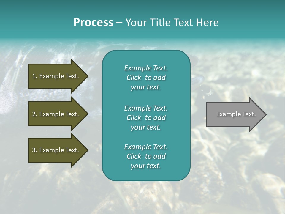 Unique Shot Of The Atlantic Salmon In Its Natural Habitat PowerPoint Template