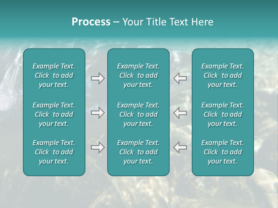 Unique Shot Of The Atlantic Salmon In Its Natural Habitat PowerPoint Template