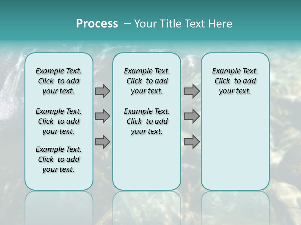 Unique Shot Of The Atlantic Salmon In Its Natural Habitat PowerPoint Template
