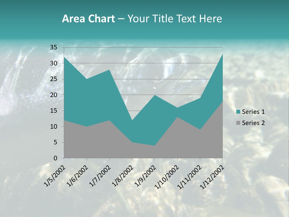 Unique Shot Of The Atlantic Salmon In Its Natural Habitat PowerPoint Template