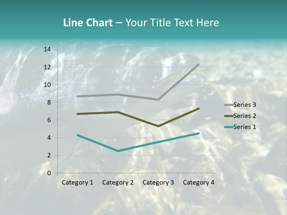 Unique Shot Of The Atlantic Salmon In Its Natural Habitat PowerPoint Template