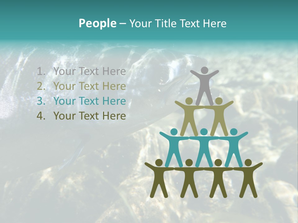 Unique Shot Of The Atlantic Salmon In Its Natural Habitat PowerPoint Template