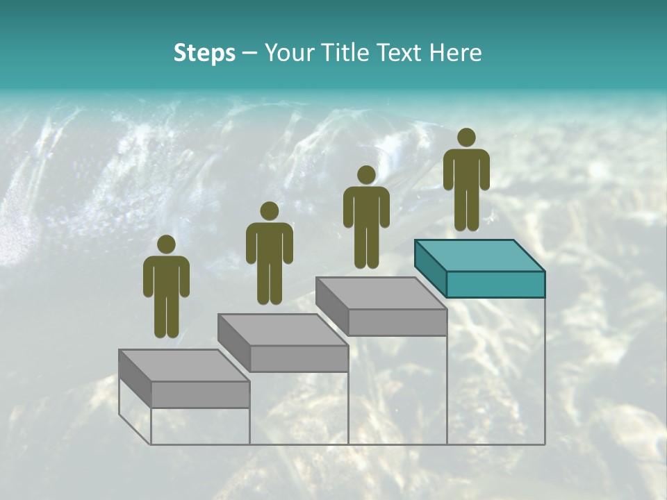 Unique Shot Of The Atlantic Salmon In Its Natural Habitat PowerPoint Template