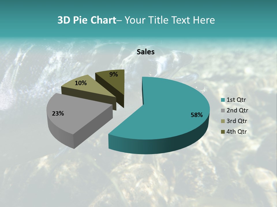Unique Shot Of The Atlantic Salmon In Its Natural Habitat PowerPoint Template