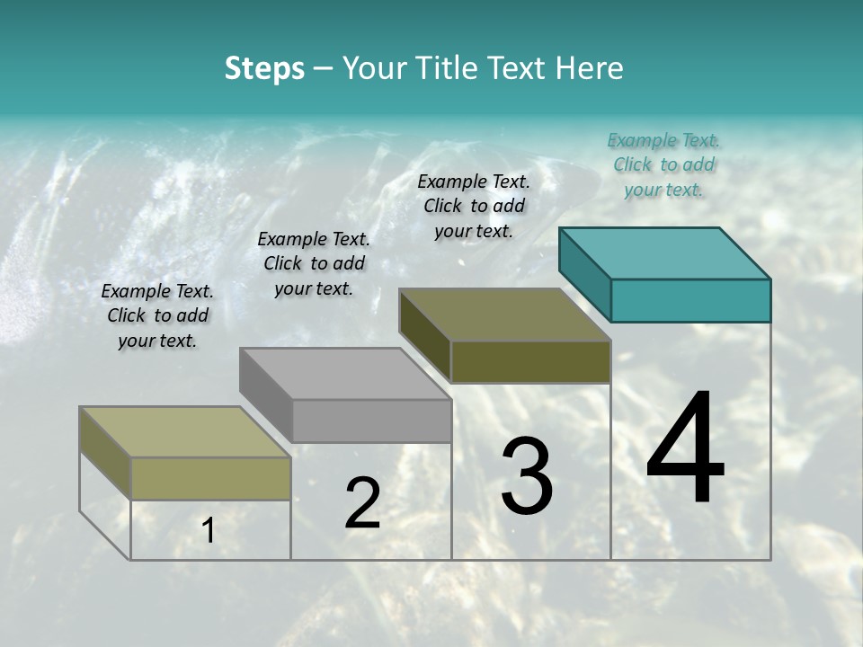 Unique Shot Of The Atlantic Salmon In Its Natural Habitat PowerPoint Template