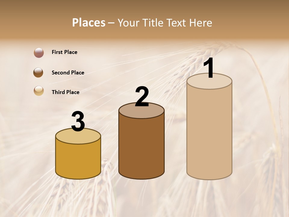 Barley PowerPoint Template