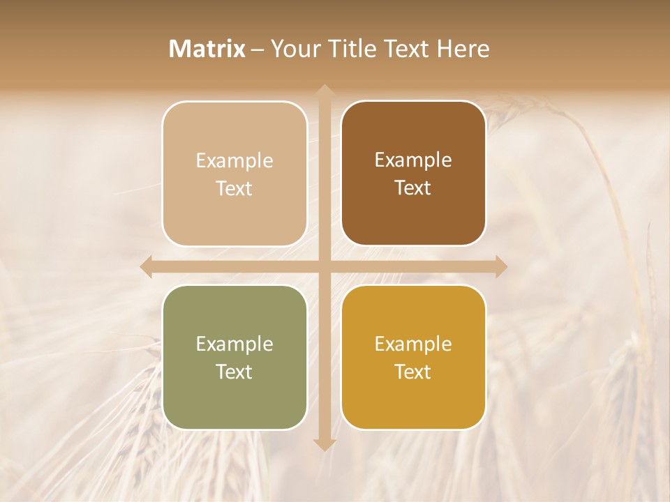 Barley PowerPoint Template