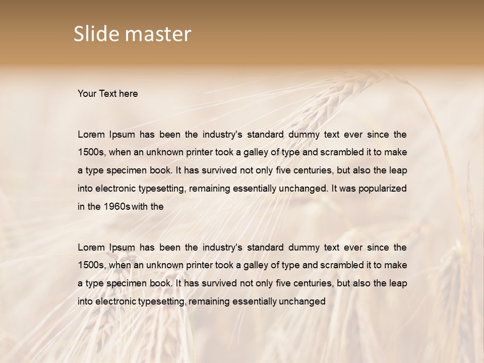 Barley PowerPoint Template