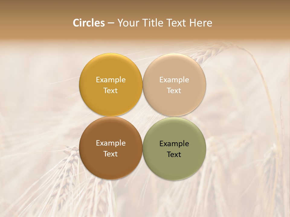 Barley PowerPoint Template