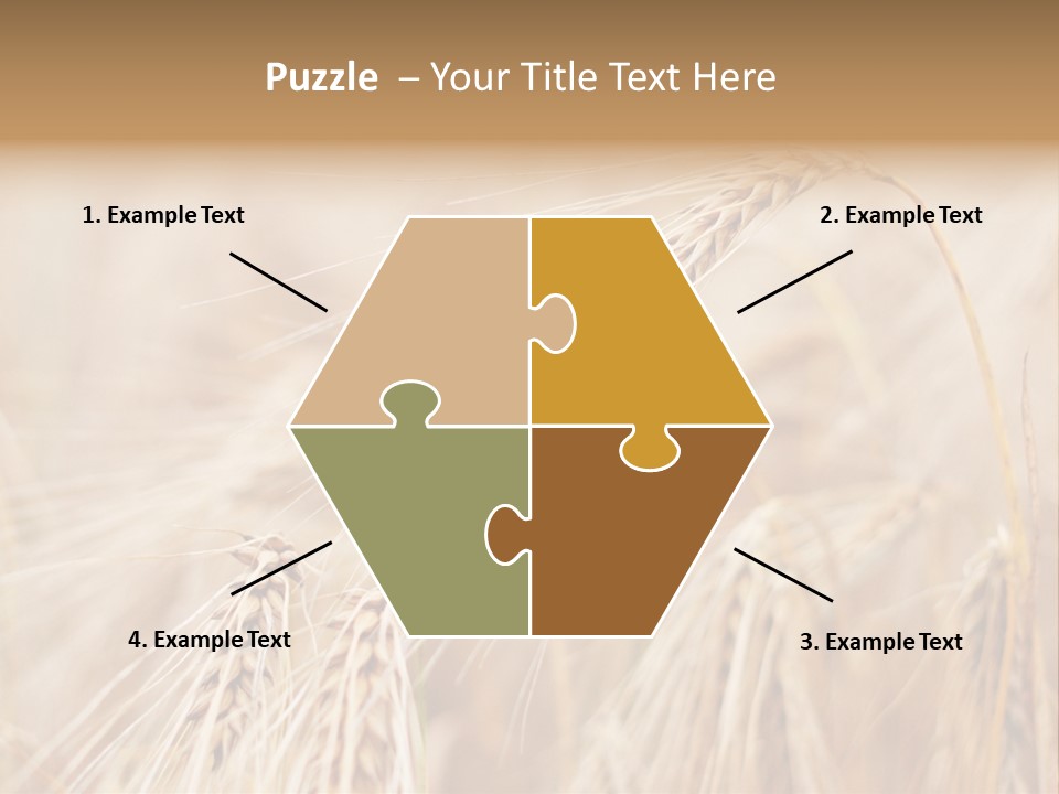 Barley PowerPoint Template