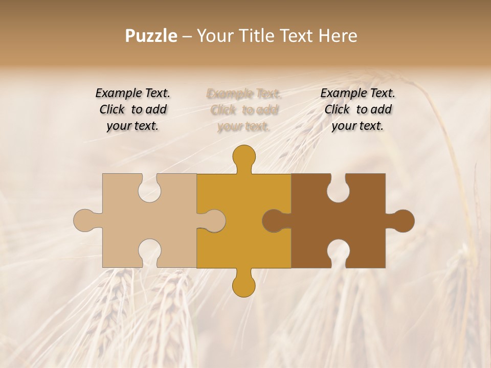 Barley PowerPoint Template