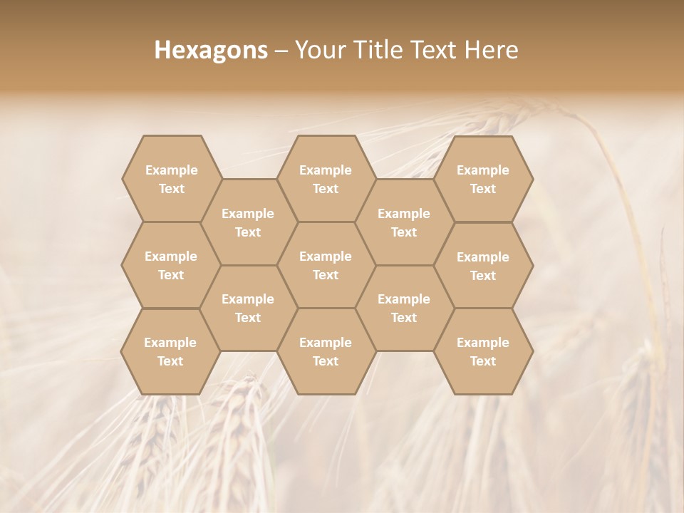 Barley PowerPoint Template