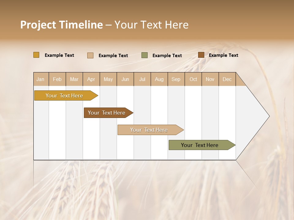 Barley PowerPoint Template