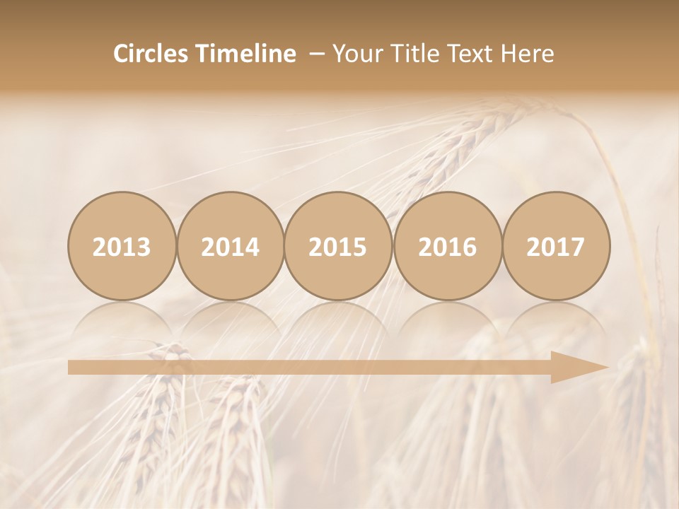 Barley PowerPoint Template