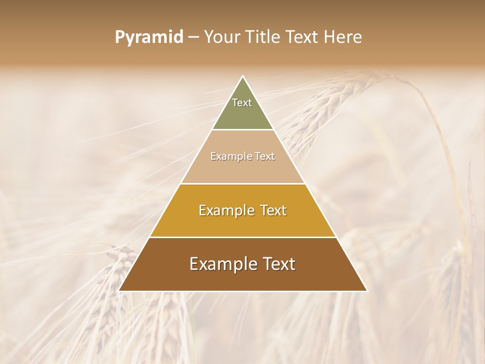 Barley PowerPoint Template