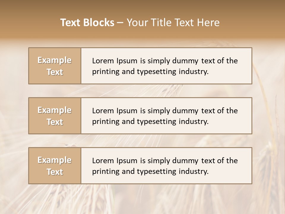 Barley PowerPoint Template